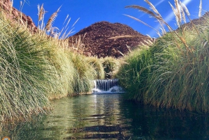 San Pedro de Atacama : Journée aux sources d'eau chaude naturelles de Puritama