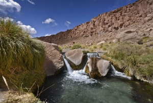 San Pedro de Atacama: Giornata delle sorgenti termali naturali di Puritama