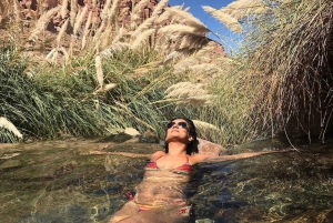 San Pedro de Atacama: Puritama Natural Hot Springs Tag