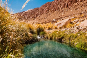 San Pedro de Atacama: Dia nas Termas Naturais de Puritama
