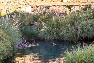 San Pedro de Atacama : Journée aux sources d'eau chaude naturelles de Puritama