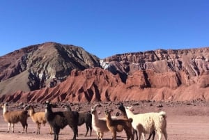 San Pedro de Atacama: Regnbuedalen + gamle malerier