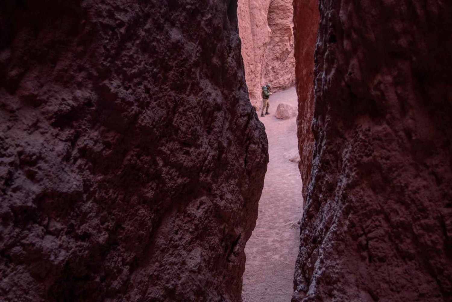 San Pedro de Atacama: Tour della Valle dell'Arcobaleno e dei Petroglifi