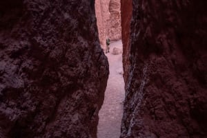 San Pedro de Atacama: Rainbow Valley and Petroglyphs Tour