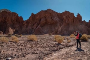 San Pedro de Atacama: Rainbow Valley and Petroglyphs Tour