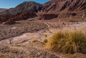 San Pedro de Atacama: Rainbow Valley and Petroglyphs Tour