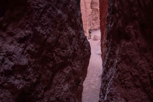 San Pedro de Atacama: Regenboogvallei en petrogliefentocht