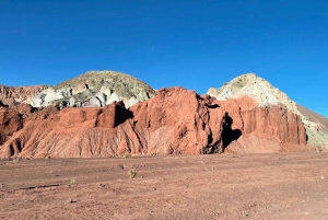 San Pedro de Atacama: Regenboogvallei en petrogliefentocht