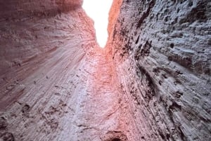 San Pedro de Atacama: Regenboogvallei en petrogliefentocht