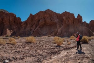 San Pedro de Atacama: Regenboogvallei en petrogliefentocht
