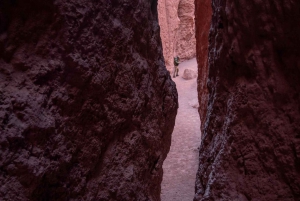 San Pedro de Atacama: Tour della Valle dell'Arcobaleno e dei Petroglifi