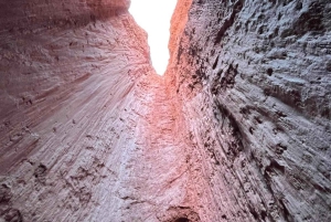 San Pedro de Atacama: Tour della Valle dell'Arcobaleno e dei Petroglifi