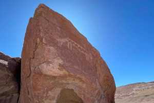 San Pedro de Atacama: Tour della Valle dell'Arcobaleno e dei Petroglifi