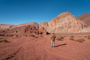 San Pedro de Atacama: Tour della Valle dell'Arcobaleno e dei Petroglifi
