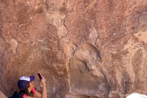 San Pedro de Atacama: Tour della Valle dell'Arcobaleno e dei Petroglifi