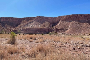 San Pedro de Atacama: Tour della Valle dell'Arcobaleno e dei Petroglifi