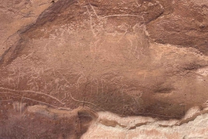 San Pedro de Atacama: Tour della Valle dell'Arcobaleno e dei Petroglifi