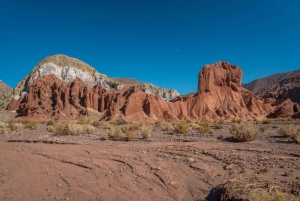 San Pedro de Atacama: Tour della Valle dell'Arcobaleno e dei Petroglifi