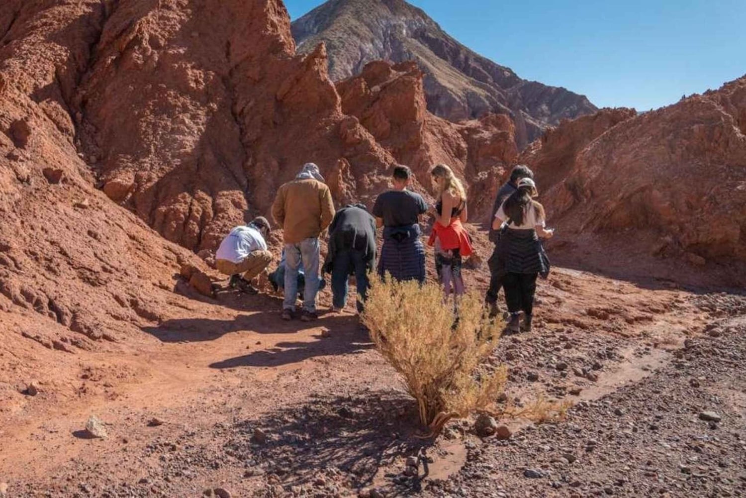 San Pedro de Atacama: Rainbow Valley & Good Herbs Tour