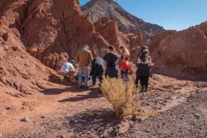 San Pedro de Atacama: Rainbow Valley & Good Herbs Tour