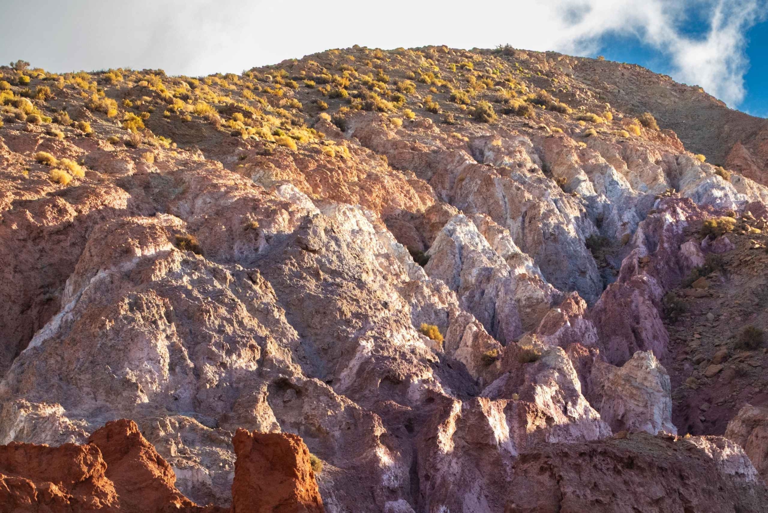 San Pedro de Atacama: Rainbow Valley & Hierbas Buenas Tour