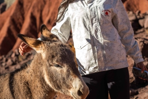 San Pedro de Atacama: Rainbow Valley & Hierbas Buenas Tour