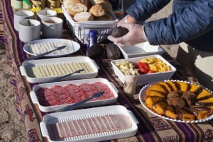 San Pedro de Atacama: Escursione di un giorno alle Rocce Rosse e alle lagune dell'Altiplano