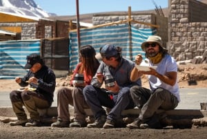 San Pedro de Atacama: Escursione di un giorno alle Rocce Rosse e alle lagune dell'Altiplano