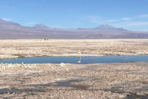 San Pedro de Atacama: Escursione di un giorno alle Rocce Rosse e alle lagune dell'Altiplano