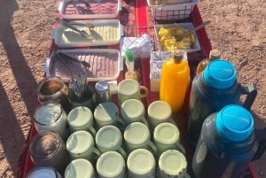 San Pedro de Atacama: Escursione di un giorno alle Rocce Rosse e alle lagune dell'Altiplano