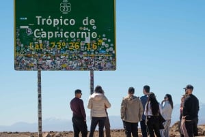 San Pedro de Atacama: Escursione di un giorno alle Rocce Rosse e alle lagune dell'Altiplano