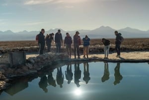 San Pedro de Atacama: Escursione di un giorno alle Rocce Rosse e alle lagune dell'Altiplano