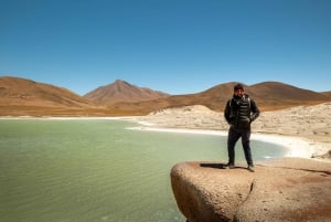 San Pedro de Atacama: Escursione di un giorno alle Rocce Rosse e alle lagune dell'Altiplano