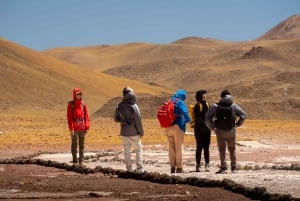 San Pedro de Atacama: Escursione di un giorno alle Rocce Rosse e alle lagune dell'Altiplano