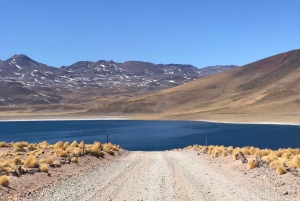 San Pedro de Atacama: Red Rocks & Altiplano Lagoons Day Trip