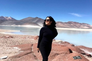 San Pedro de Atacama: Red Rocks & Altiplano Lagoons Day Trip