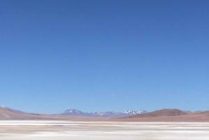 San Pedro de Atacama: Atacama Desert and Salt Flats Day Trip