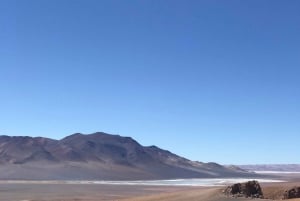 San Pedro de Atacama: Dagsutflykt till Atacamaöknen och saltslätterna
