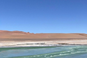 San Pedro de Atacama: Atacama Desert and Salt Flats Day Trip