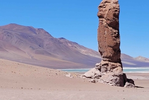San Pedro de Atacama: Ruta de los Salares