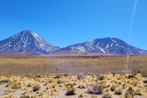 San Pedro de Atacama: Ruta de los Salares