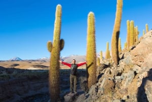 San Pedro de Atacama: Saver Pack Tatio Geysers + Moon Valley
