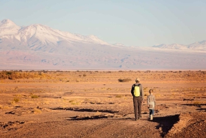San Pedro de Atacama: Saver Pack Tatio Geysers + Moon Valley