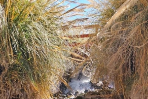 San Pedro de Atacama: Spa de Puritama