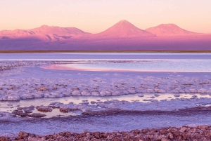 San Pedro de Atacama : Nager dans la Laguna Cejar et les Ojos del Salar