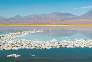San Pedro de Atacama: Nadar en Laguna Cejar y Ojos del Salar