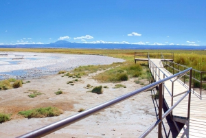 San Pedro de Atacama: Schwimmen in der Laguna Cejar & Ojos del Salar