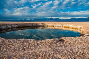 San Pedro de Atacama: Ojos del Salar & Laguna Cejar