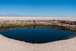 San Pedro de Atacama : Nager dans la Laguna Cejar et les Ojos del Salar