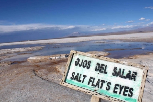 San Pedro de Atacama: Ojos del Salar & Laguna Cejar
